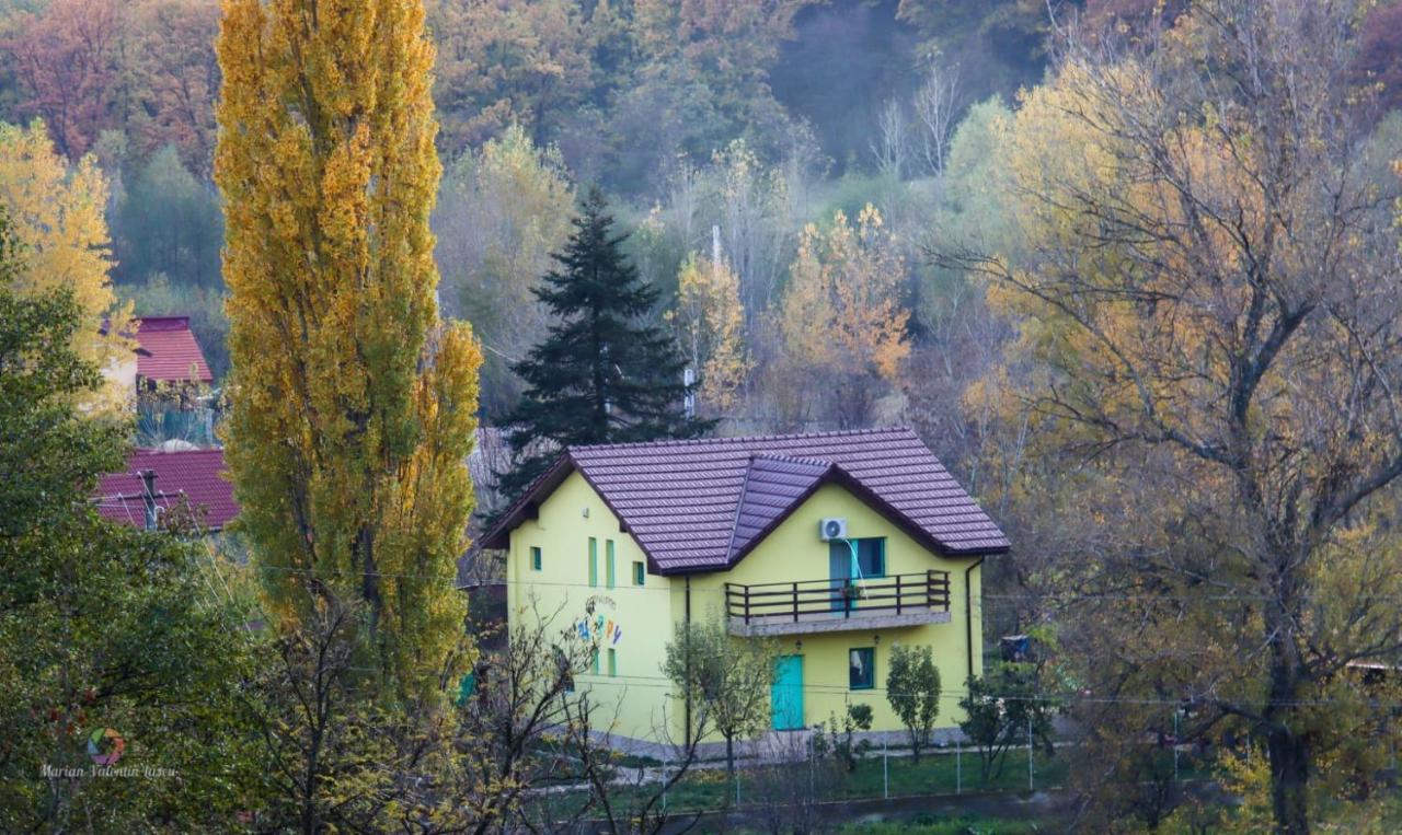 Pensiunea Happy Schitu Topolnitei 外观 照片