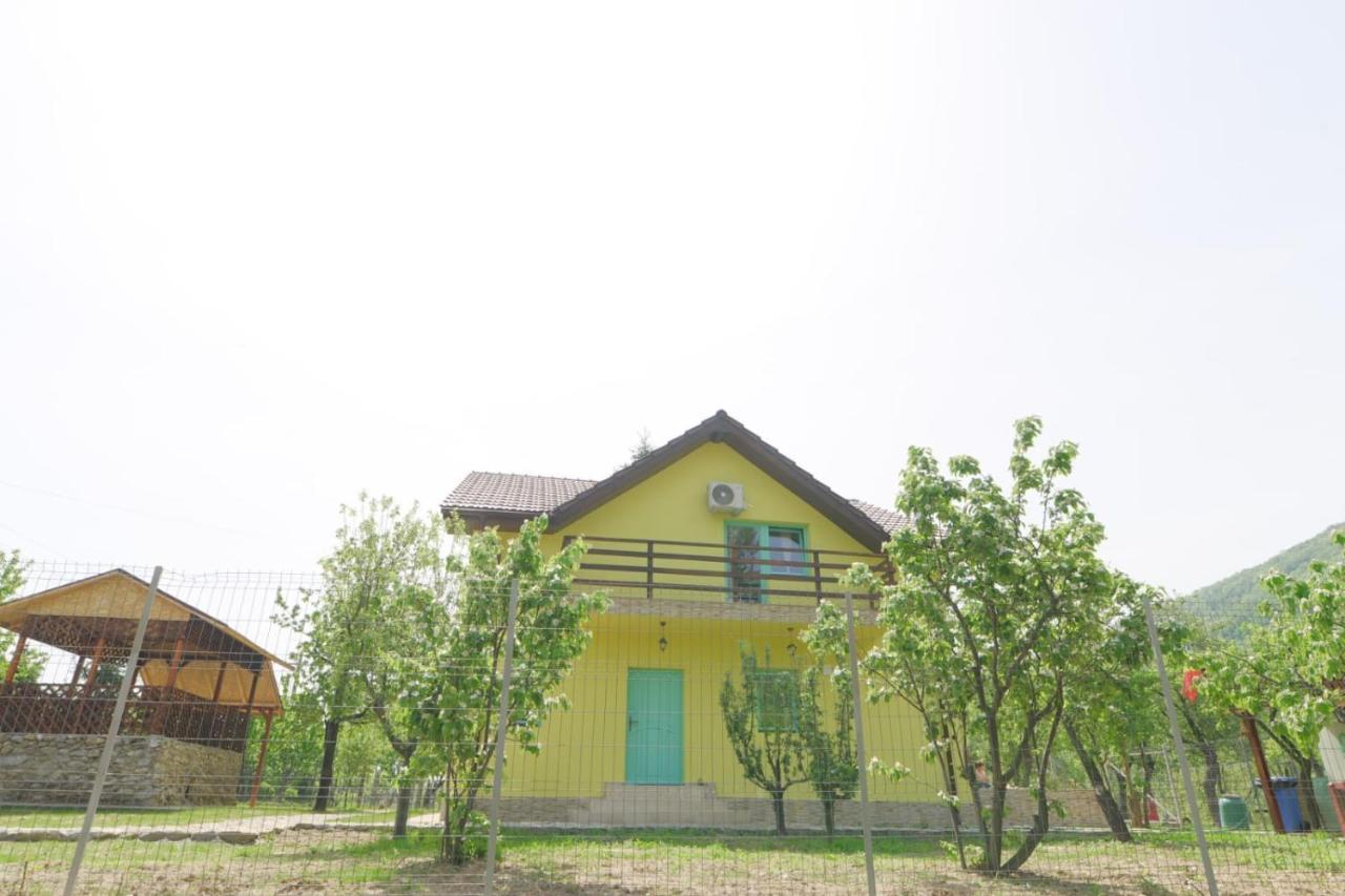 Pensiunea Happy Schitu Topolnitei 外观 照片