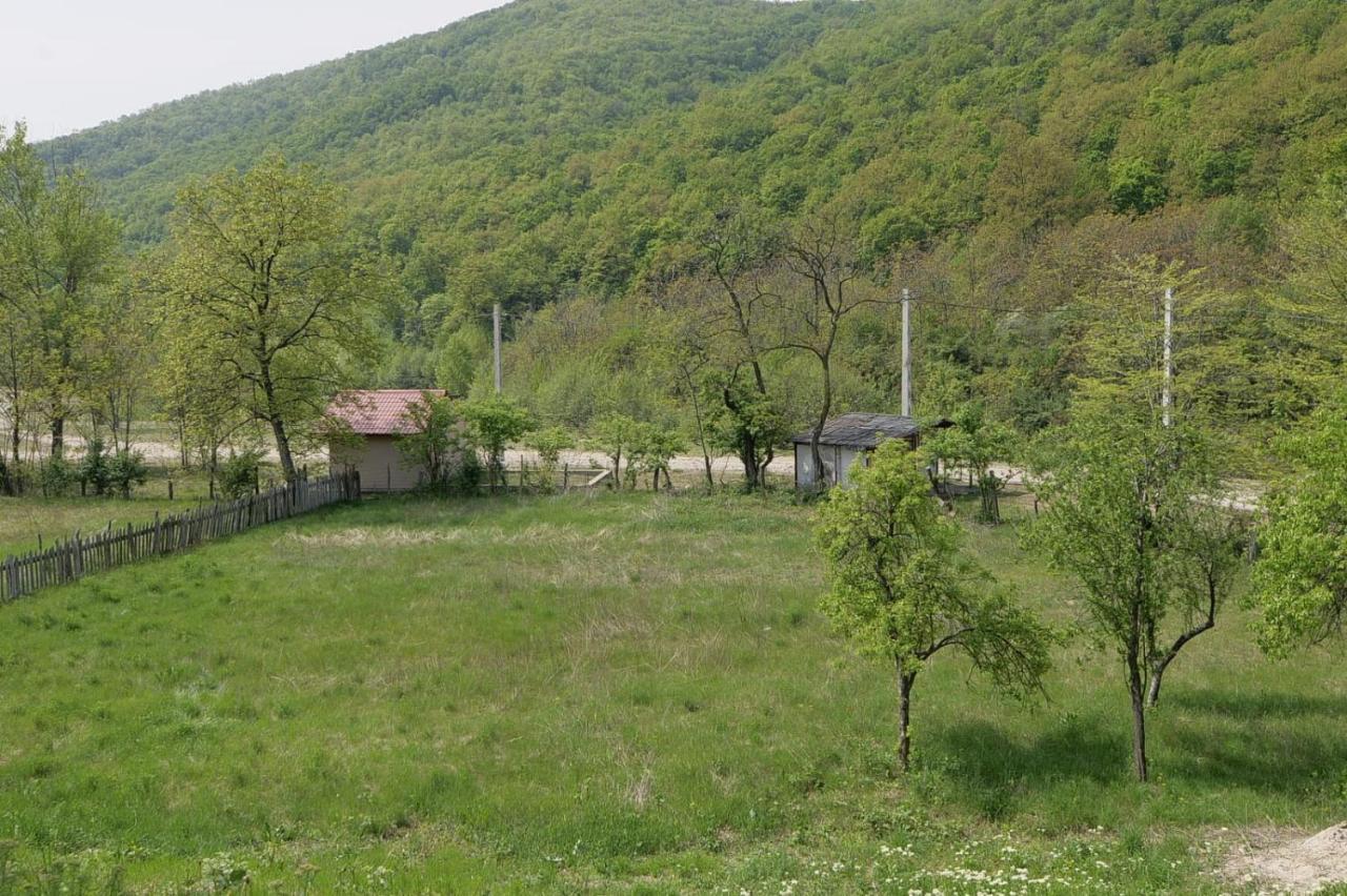 Pensiunea Happy Schitu Topolnitei 外观 照片